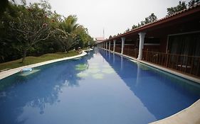 Lagoon Bay At Leonia